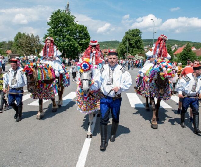 Jízda králů Vlčnov 2019 - neděle