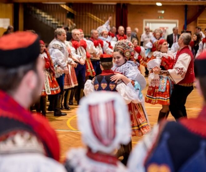 Krojový ples s představením krále Davida Chaloupky a ročníku 2001