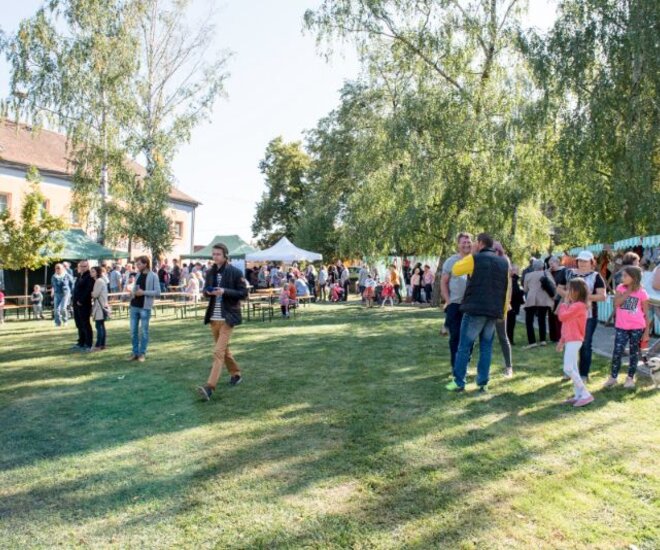 XV. Košt vdolečků a den textilu